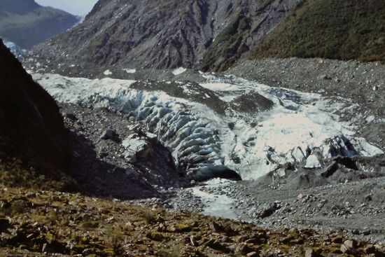Franz Josef Gletscher