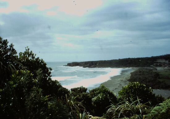 Blick vom Paparoa Park Motel