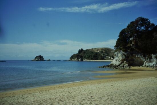Tahunanui Beach