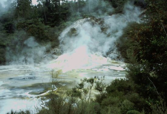 Boiling Mud Pool