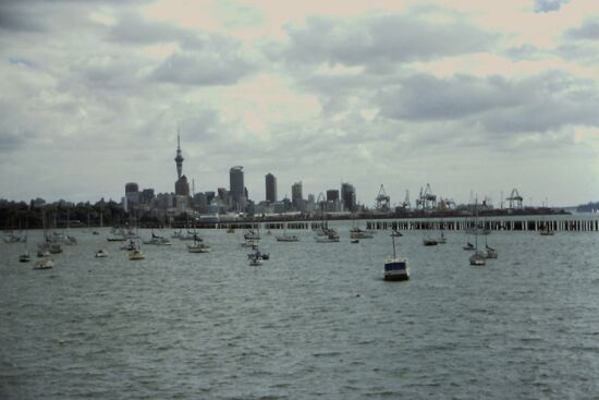 Blick auf Auckland