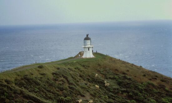 Leuchtturm am Cape Reinga