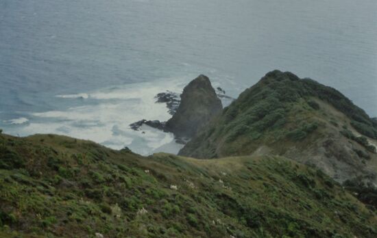 Am Cape Reinga