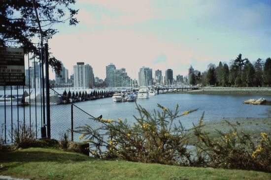 Im Stanley Park