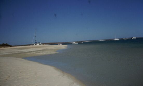 Strand bei Monkey Mia
