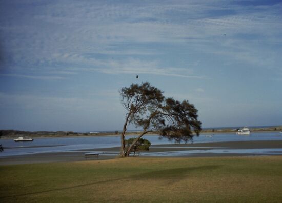 Shark Bay