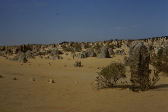 Nambung N.P. - Pinnacles