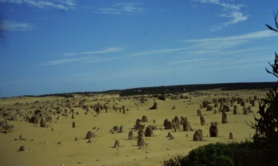 Pinnacles