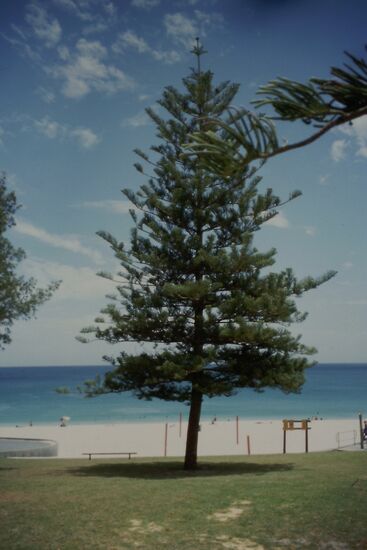 Cottesloe Beach