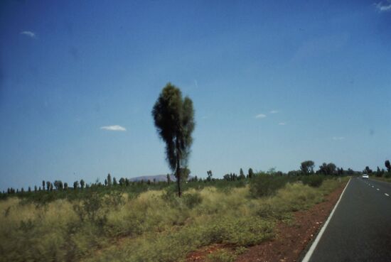 Fahrt zum Uluru