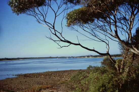 American River - Kangaroo Island