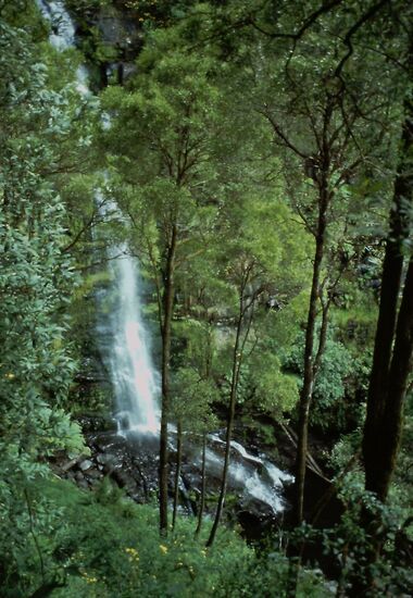 Erskine Falls