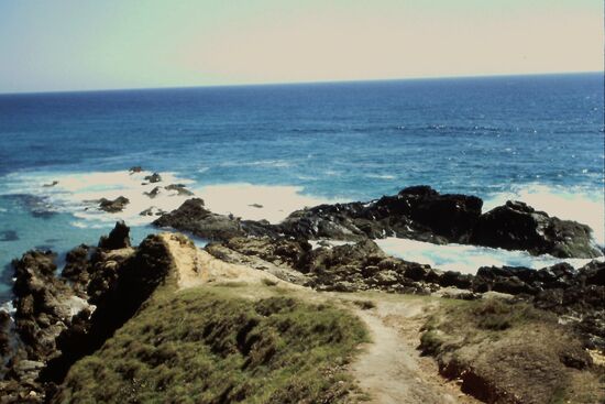 East Point Byron Bay
