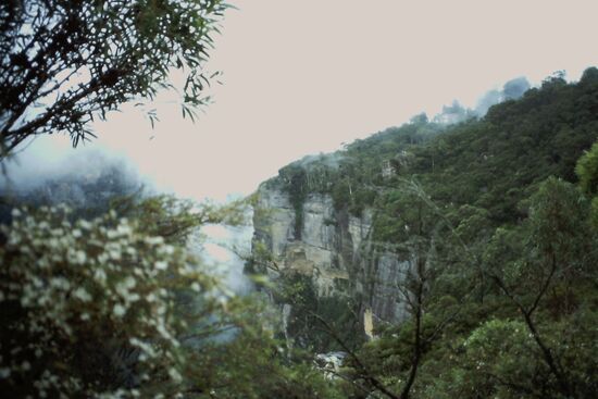 Gray Mountains statt  Blue Mountains