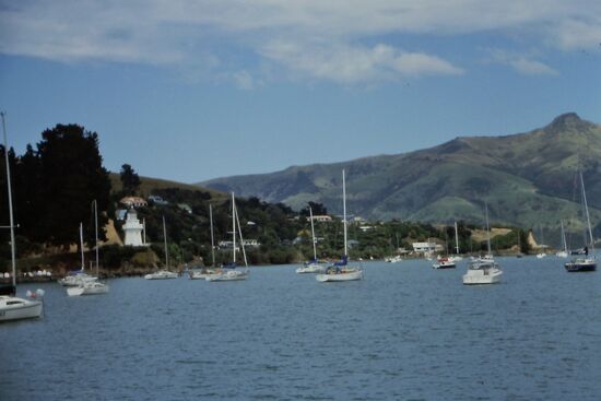 Kleine Hafen in Akaroa