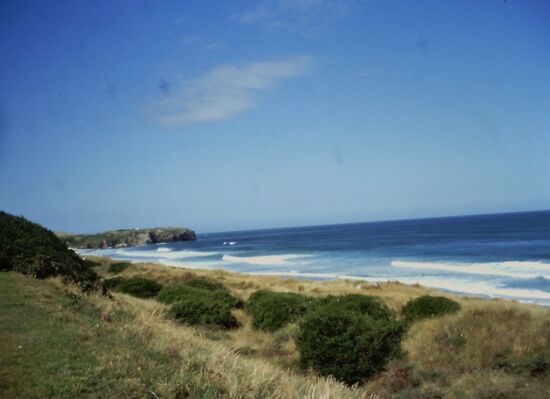St. Kilda Beach Dunedin
