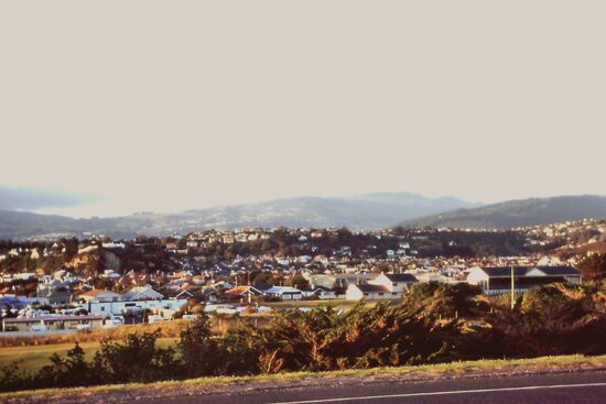 Blick auf Dunedin