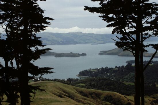Blick auf Otago BAy