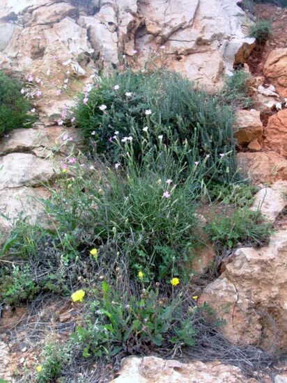 Bei der Grotte di Nettuno
