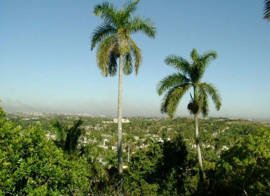 San Francisco de Paula - Hemingway Haus Sicht