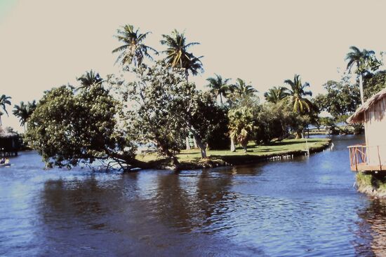 In den Kanälen der Laguna de Testero