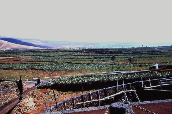 Blick vom Jardin de Cactus