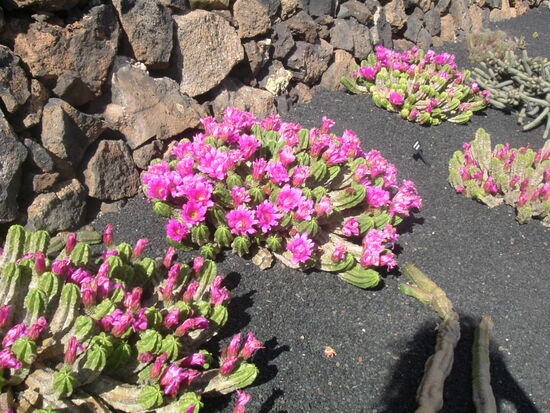 Schöner Farbkontrast