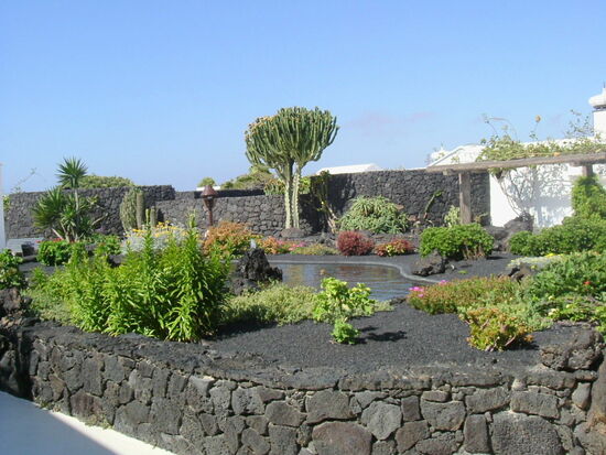 Auffallend das Grün mit der dunklen Vulkanerde