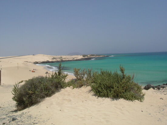 Dünenstrand südlich von Corralejo