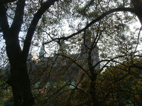 Blick auf St. Veits Dom