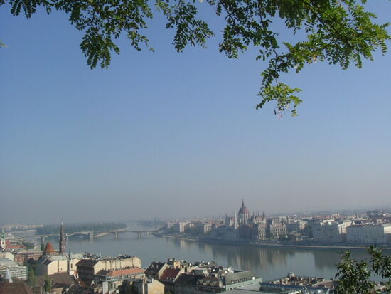 Blick auf Donau und Parlament
