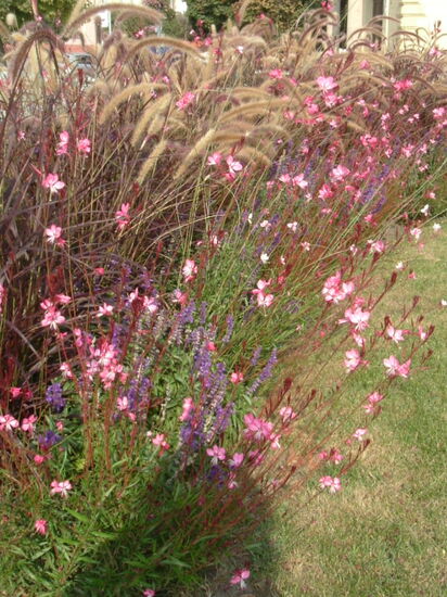 Einfach nur schön...