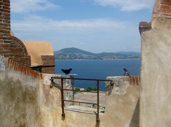 Auch die Vögel geniessen den Ausblick...
