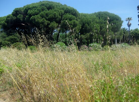 Ausserhalb des Parks