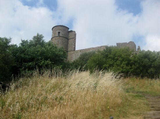 Der Weg zur Burgruine