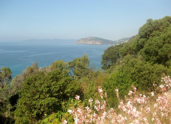 Die schöne Lage des Gartens kann man hier sehen