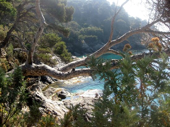 Blick aufs Meer vom Jardin