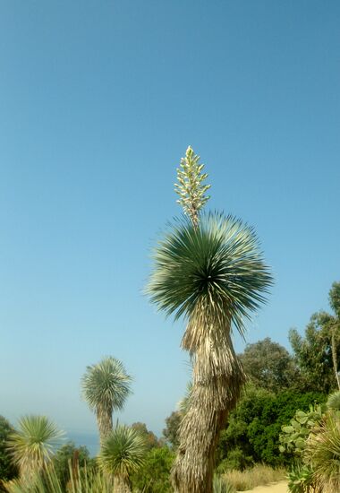 Einfach nur wunderschön...