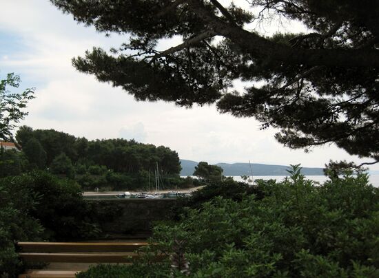 Üppige Vegetation im Süden