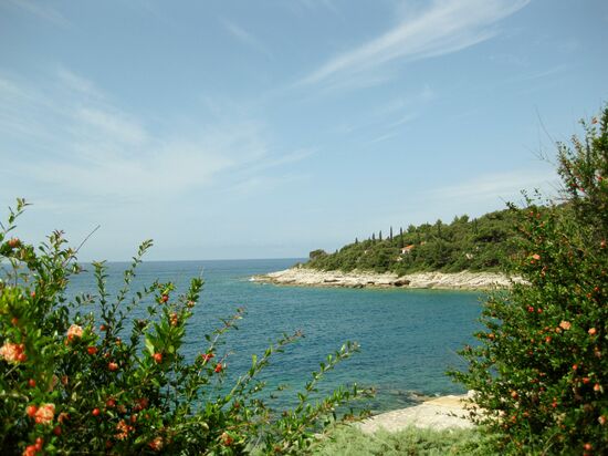 Blick aufs Meer und die Küste