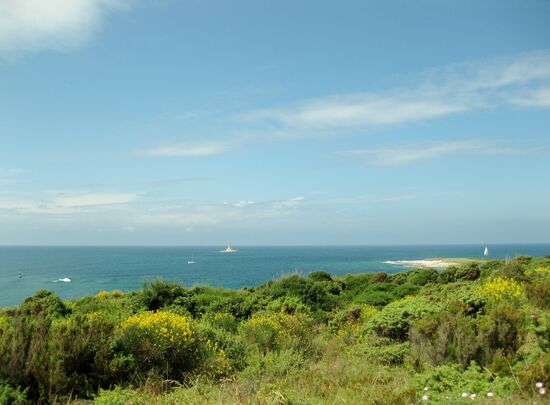 Viel Grün auf der Halbinsel