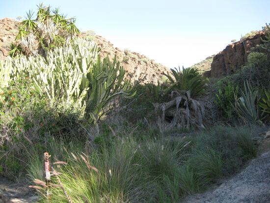 Auf dem Weg zum Playa Veneguera