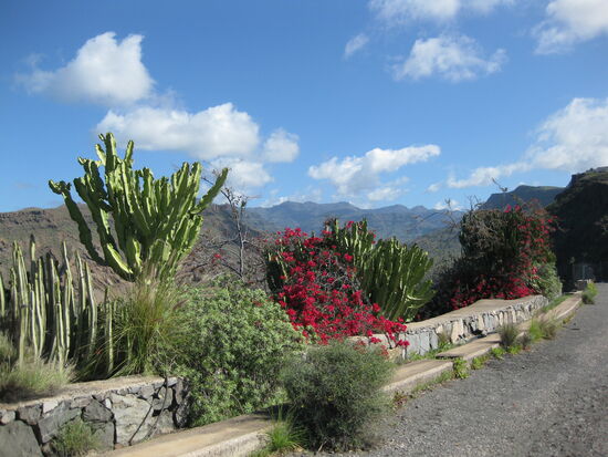 Schön angelegt für das vorgesehene - aber bisher nicht ausgeführte - Bauprojekt in der Bucht Veneguera