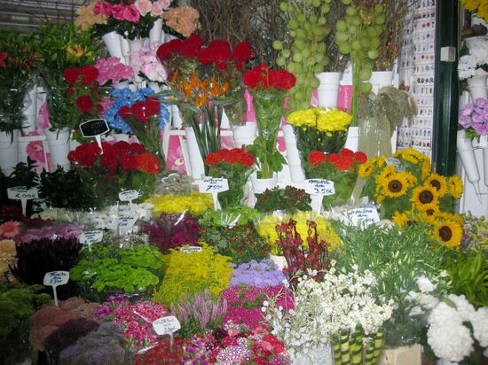 Blumen in Hülle und Fülle