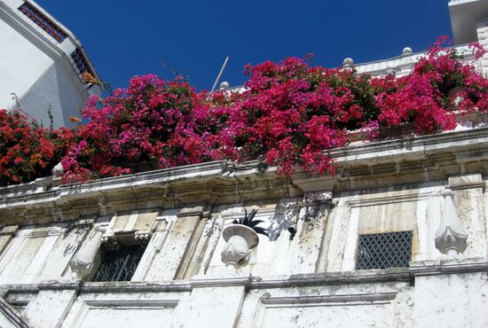Bougainvilleablüten schmücken dieses alte Gebäude