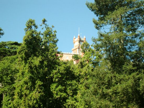 Palacio de Pena