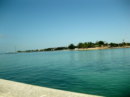 Blick auf Key West