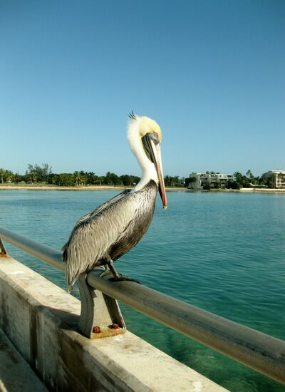 Ein schöner Rastplatz