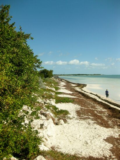 Bahia Honda Beach
