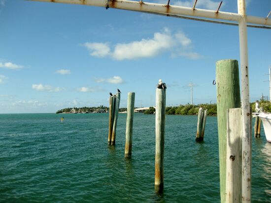 Am Meer bei Islamorada